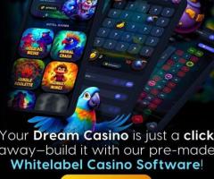 Kickstart Your Online Casino Business with Our Fast-Launch Whitelabel Solution